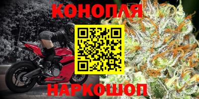мдпв Донской