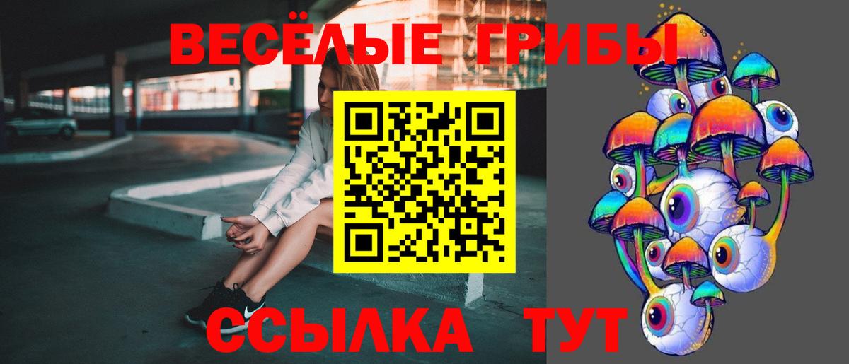 Псилоцибиновые грибы Magic Shrooms  где купить   Псилоцибиновые грибы GOLDEN TEACHER  Трёхгорный  Вход с VPN 